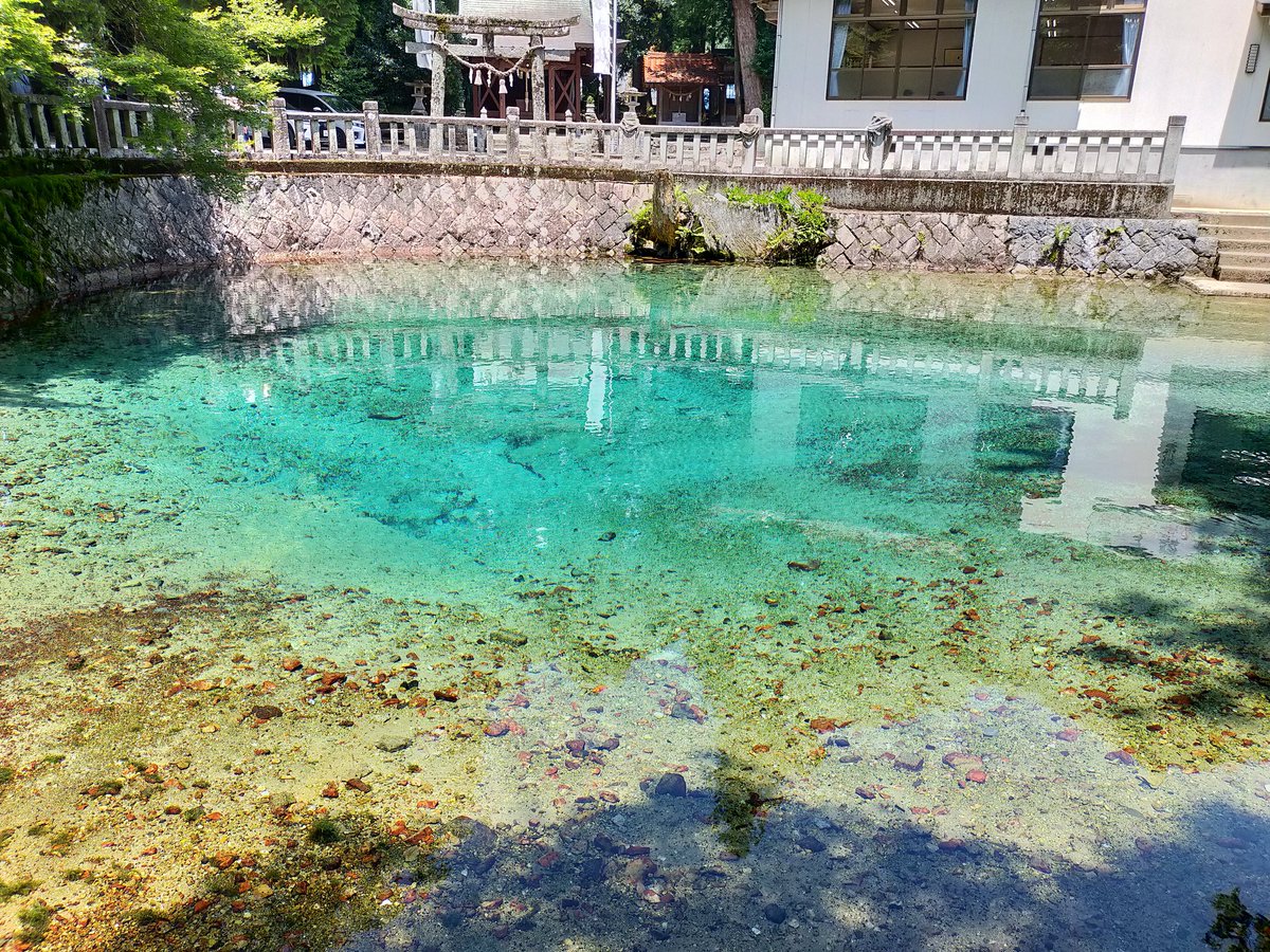 昨日は山口県宇部市のお寺にて奉納演奏✨
本日も引き続き山口にて音の祈りの旅🌈
#別府厳島神社
#スピリチュアル
#神社仏閣