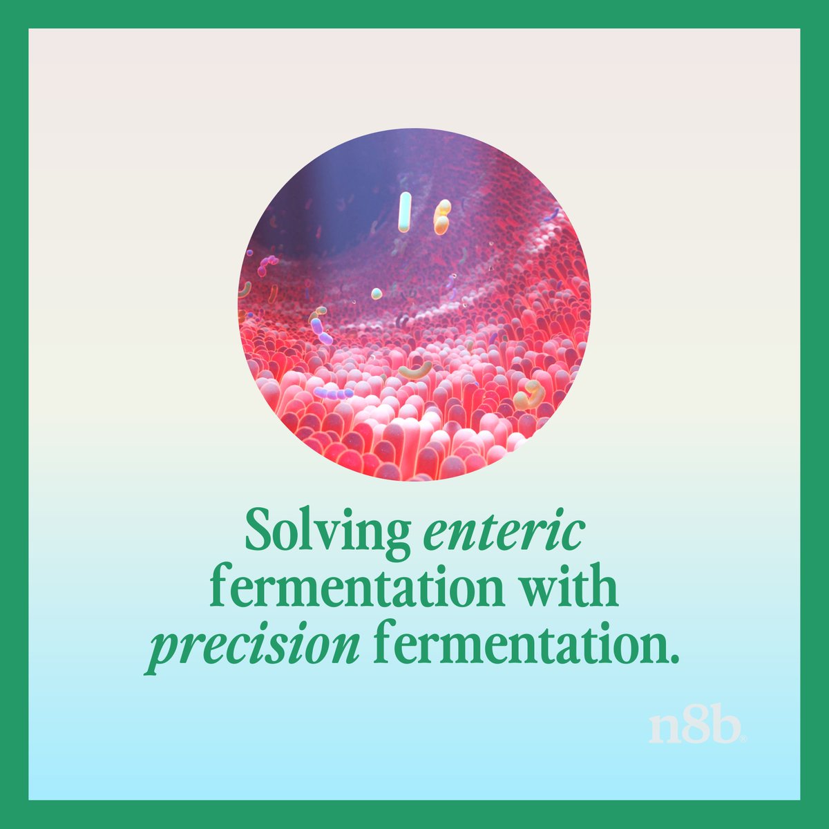 From carbon sequestration to reducing livestock #methane &amp; powering biofuels, seaweed is powerful for climate action. But scaling production is tough so we’re using bioengineering &amp; #PrecisionFermentation to harness its potential—unlocking benefits without scaling pitfalls. 🌿