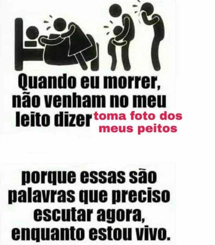 perfil dedicado a gatinhos e peitos (@odeiootaco) on Twitter photo 