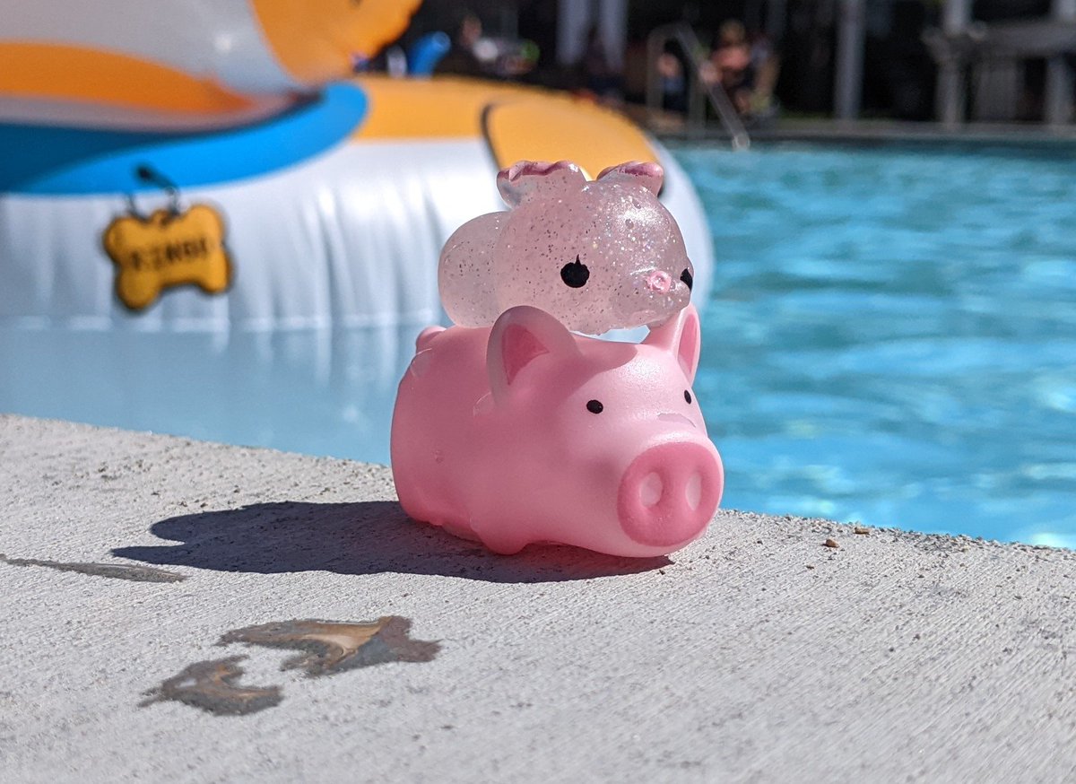 meghanvgames's tweet photo. 🌊🐷 https://t.co/KUQk1DwQEc