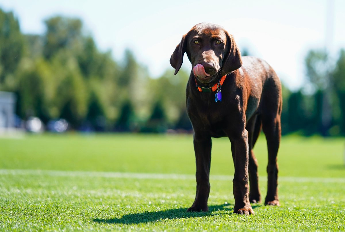 Lindsey Wasson 📸 tweet media