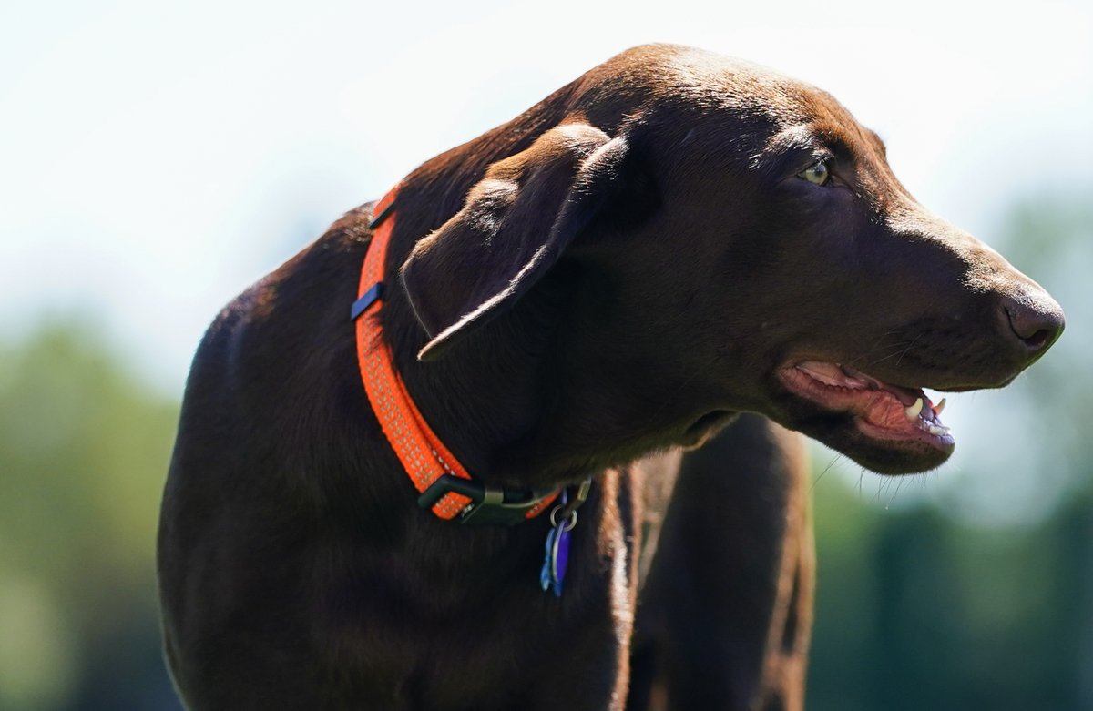 Lindsey Wasson 📸 tweet media