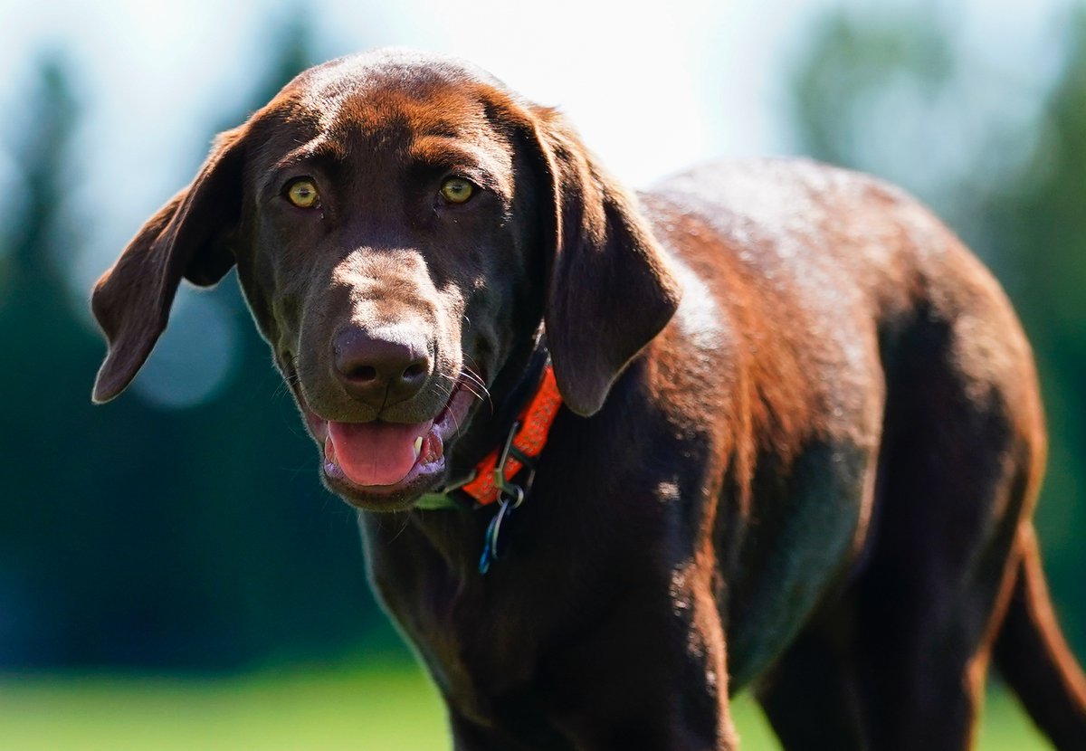 Lindsey Wasson 📸 tweet media