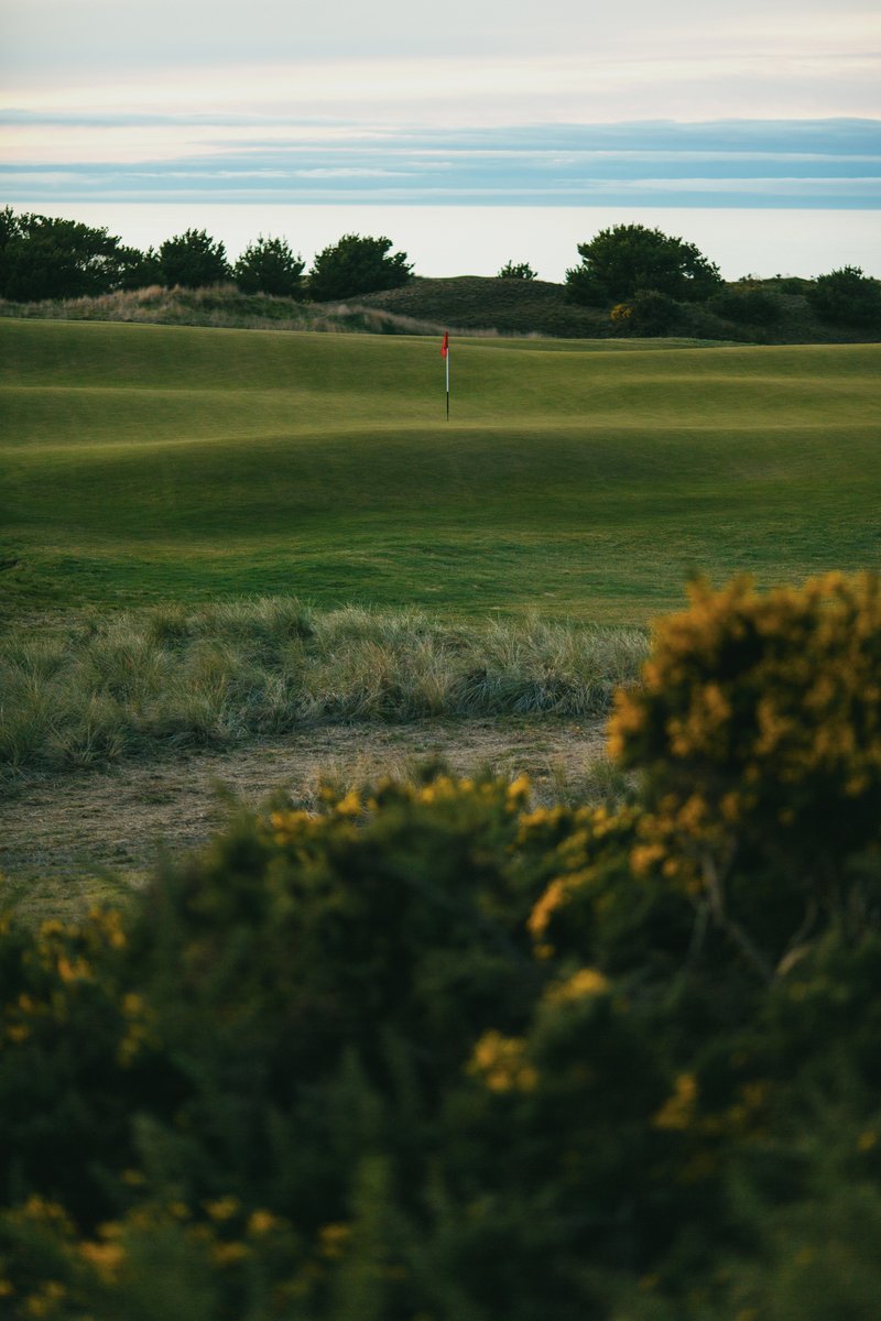 Bandon Dunes tweet media