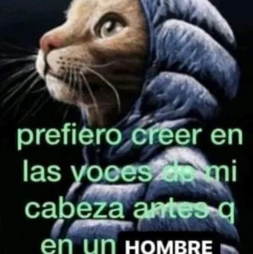 Its_Mishita's tweet photo. @soymimila Todxs ahorita: https://t.co/dY0EBKi01u