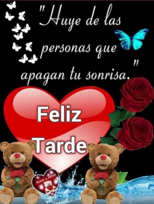 Lupe Monroy (@lupemonroy6) on Twitter photo 