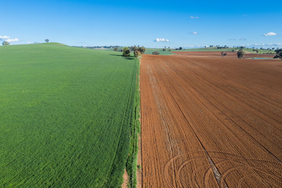 AgInstituteAus's tweet photo. New analysis released by @ABARES examines Australian Ag’s extensive sustainability credentials &amp; the importance of demonstrating them to consumers &amp; investors. #sustainableag #aginstitute 
https://t.co/yFOzTzuKPR https://t.co/cJojr9bB8h