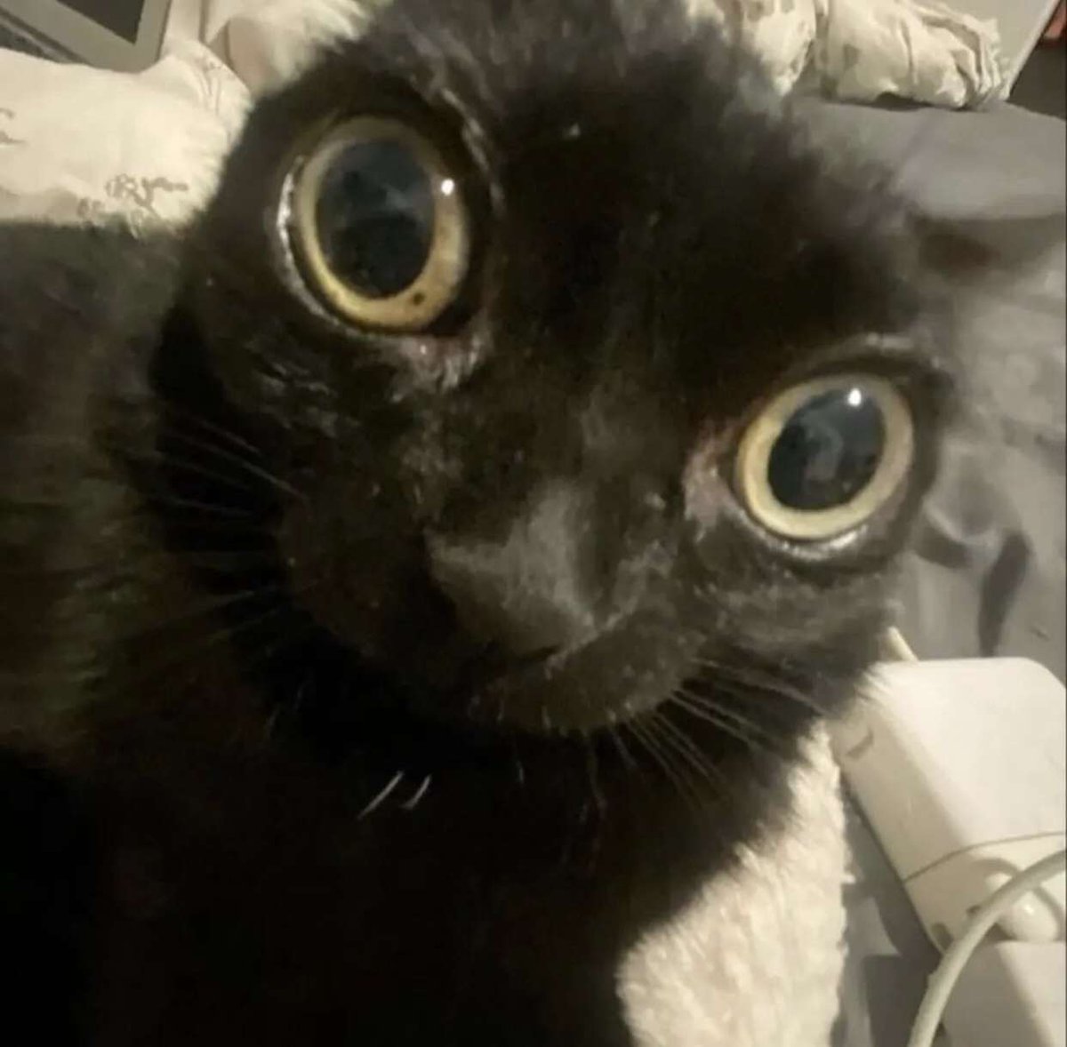 PositivePyro_'s tweet image. 