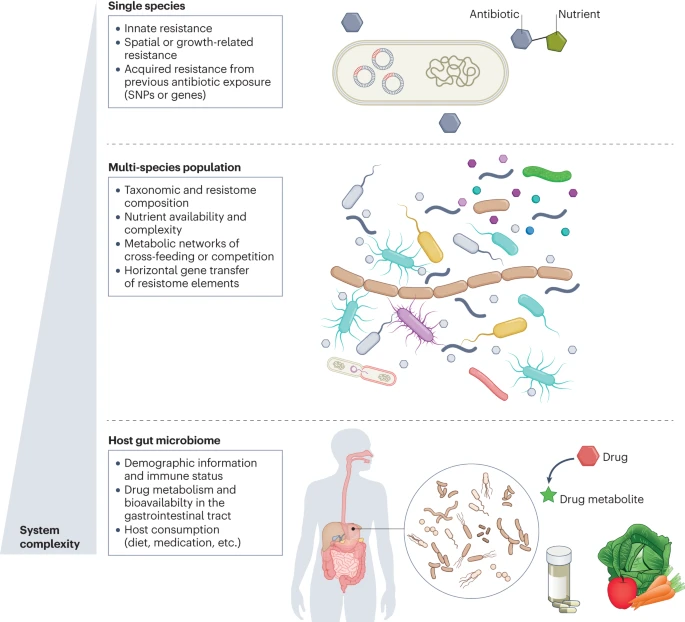 Nice review paper: 'Antibiotic perturbations to the gut microbiome'.

nature.com/articles/s4157…