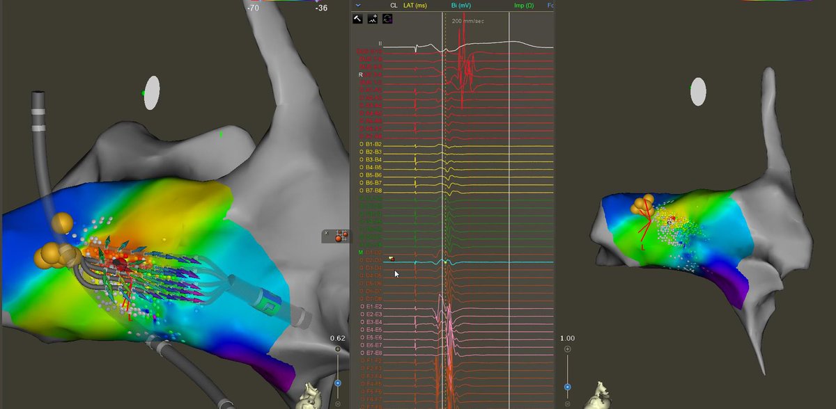 Abdillahi Dirie tweet media