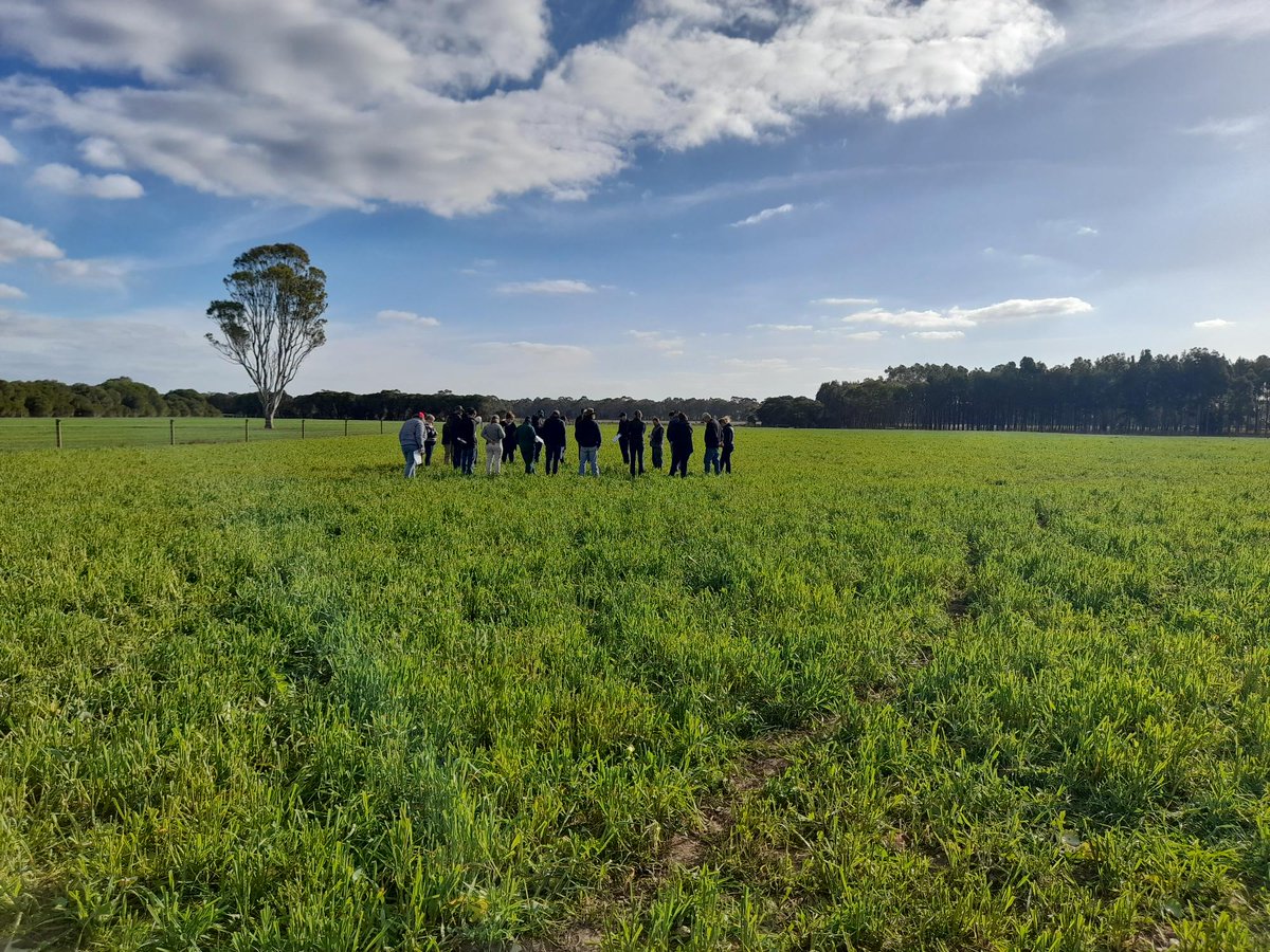 Gippsland_Ag's tweet photo. A beautiful winter's day for 30 farmers to learn more about the NEXUS Project and to better understanding emissions in livestock production at the Gippsland Research Farm.
@UniMelb 
@meatlivestock 
@BarenbrugAUS https://t.co/mwQMH7FZXn