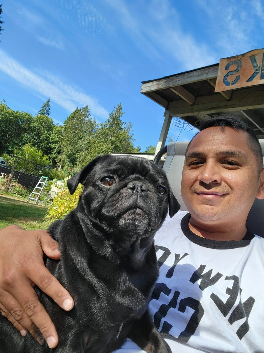 mikesalot24's tweet photo. Hanging in the yard with these dogs enjoying life. #puglife #thepugs #pnw #Pickles #Pepper #Bindy https://t.co/XHUrSsZTtM