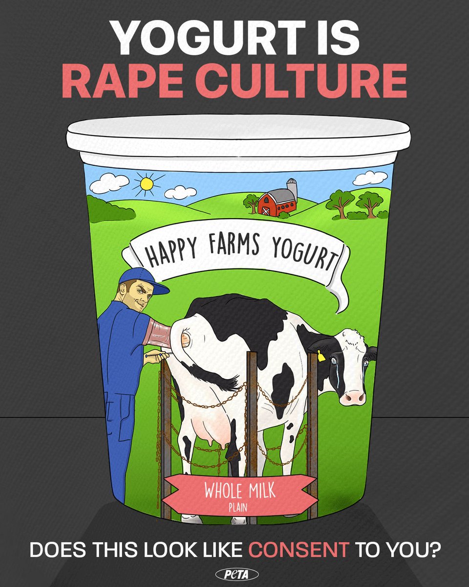 The dairy industry is founded on sexual abuse. Without the deliberate systemic violation of female bodies, the dairy industry would collapse. This is just one of the MANY reasons our species needs to #DitchDairy.