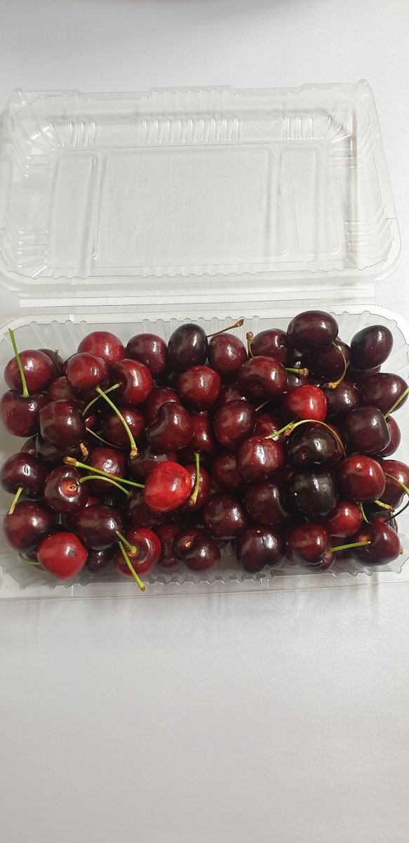 srisky9087's tweet photo. 찬란하게 반짝이는 우리의 슈스 "왕이보"
생일을 앞두고 🍒체리 1kg 🍒 
당첨자 3분 뽑습니다 📢📢 
RT 이벤트를 진행합니다.
8월 2일 오후 10시 당첨자 발표 
4일 출고 5일 배송 받으실수 있습니다.
뼛속까지 🐢 초빨은 진리지 😎😎😎
(프로필 확인합니다 거북이 싫어하심 저도 싫어요) https://t.co/AadzCSckrY