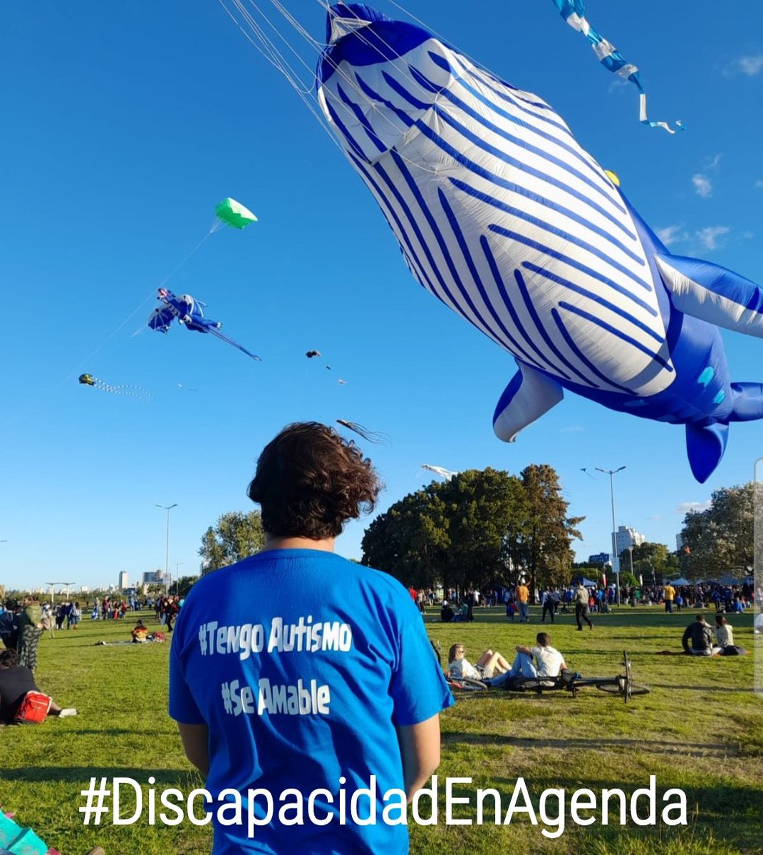 Pedimos a todos los candidatos que incluyan la #discapacidadenagenda para garantizar el derecho al trabajo, salud, educación y vida independiente de las personas con discapacidad
<a href="/PatoBullrich/">Patricia Bullrich</a>
<a href="/luispetri/">Luis Petri</a>
<a href="/Nestorgrindetti/">Néstor Grindetti</a>
<a href="/horaciorlarreta/">Larreta</a>
<a href="/SergioMassa/">Sergio Massa</a>
<a href="/RossiAgustinOk/">Agustín Rossi</a>
<a href="/JMilei/">Javier Milei</a>