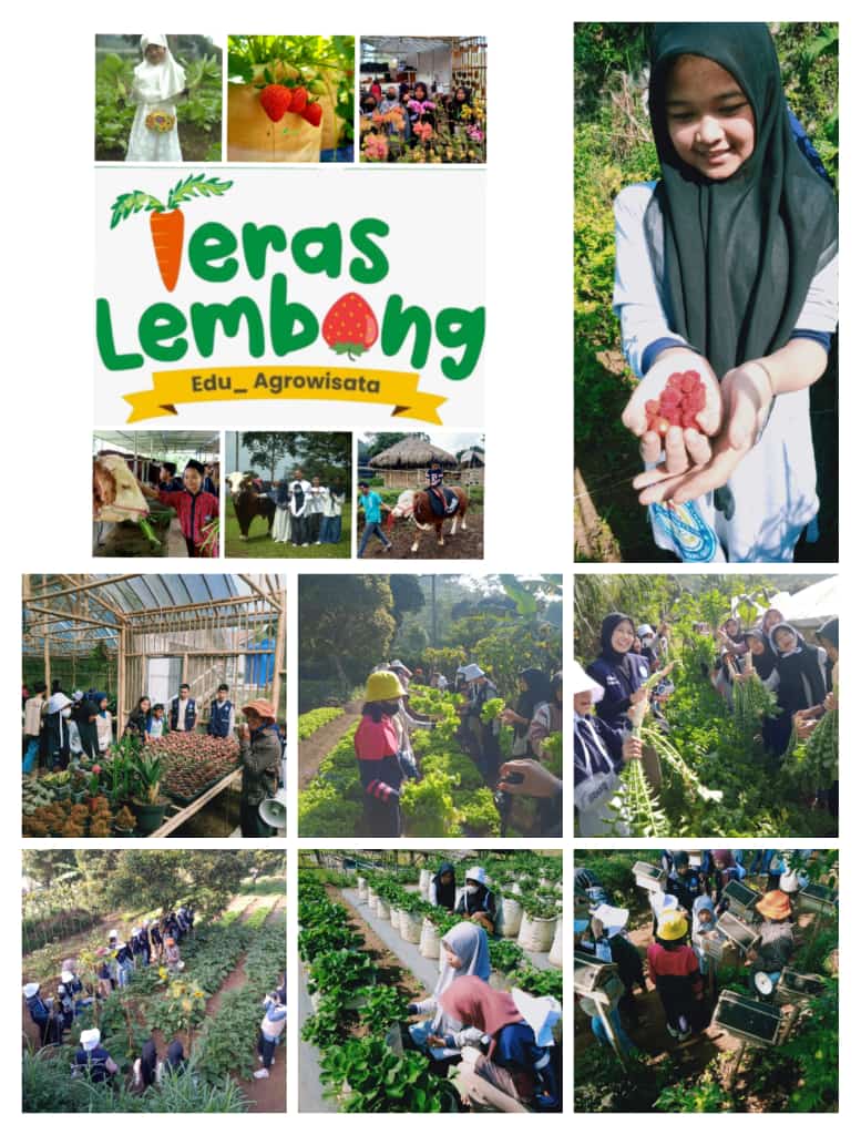 dandibudiman's tweet photo. Teras Lembang Eduagrowisata

IG
https://t.co/kB0XURXYN4

YouTube
https://t.co/FOaqMOTlUD

📍 *Kemana informasi dan reservasi nya* ?
Fauzia +62 812-2082-6229
Naufal +62 858-4601-3936

#eduagrowisata
#agrowisata
#eduwisata
#sayurorganik
#wisatalembang
#campinglembang
#campervan https://t.co/Z7AlHM5iP9