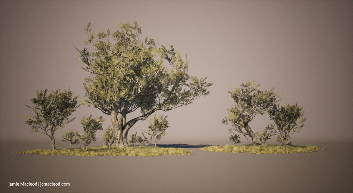 rustyspannerz's tweet photo. Wanted to practice some foliage skills, so I made some Olive Trees! https://t.co/8ukhOvjYgW