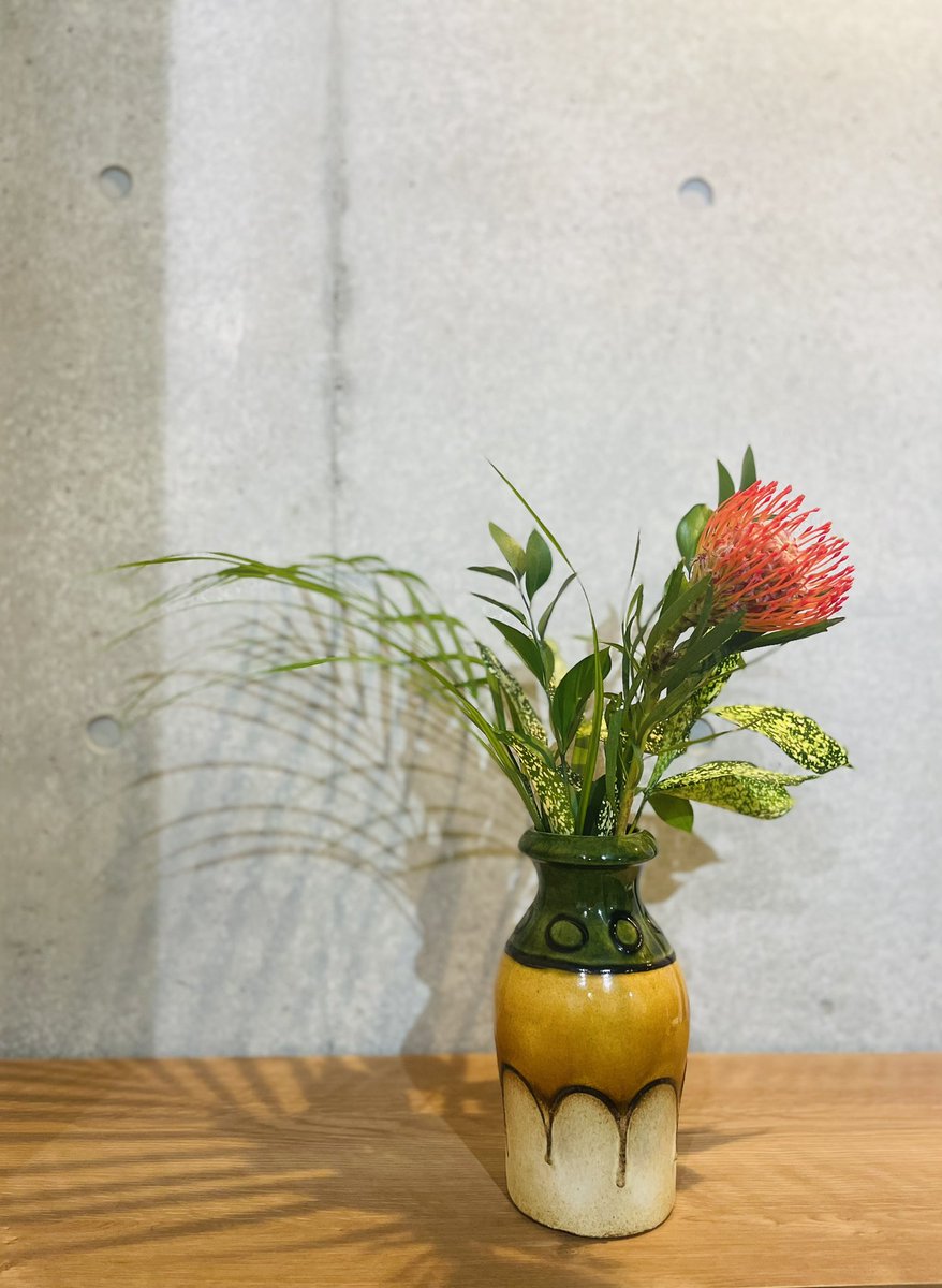 moonvin0607's tweet photo. 🏵️🏵️🏵️

fat lava208-21Scheurich

#scheurich #fatlava #flowervase #ファットラヴァ #ファットラバ #花器 #花瓶 #フラワーベース https://t.co/O3LMOSKZRo