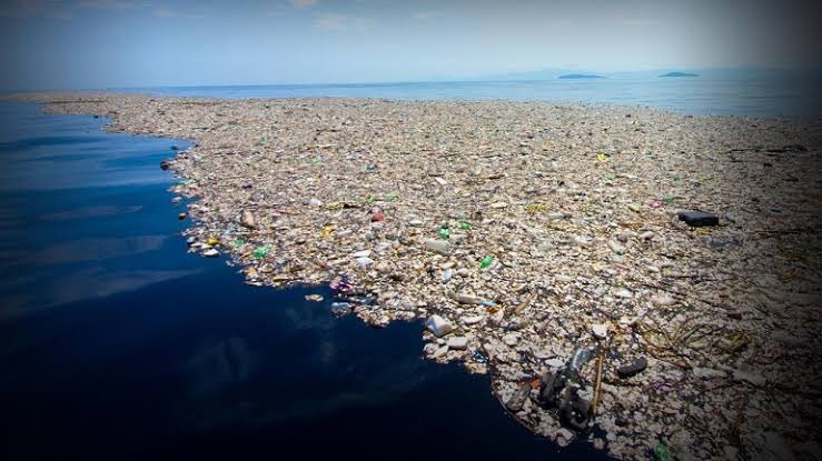 🌍💰 Join the movement for a cleaner planet! 🌿♻️ Introducing Clean World Coin - the innovative cryptocurrency that rewards recycling! 🔄🌟 Together let's save our Nature 🌊 and preserve the natural balance 🐳🐠 while earning rewards! 💚🌱 #CleanWorldCoin #Crypto #Cwc #Binance
