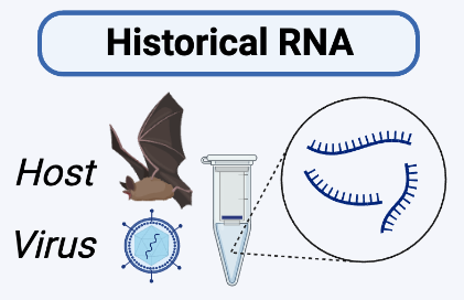 erin_e_hahn's tweet photo. Postdoc Opportunity in Historical Viral Genomics!

Do you have a PhD in viral genomics or vertebrate epigenomics?

Do you want to conduct impactful research and collaborate with international researchers?

Join CSIRO’s National Research Collections Team!

https://t.co/CYRYQ8uEML https://t.co/3qwdr3pccj