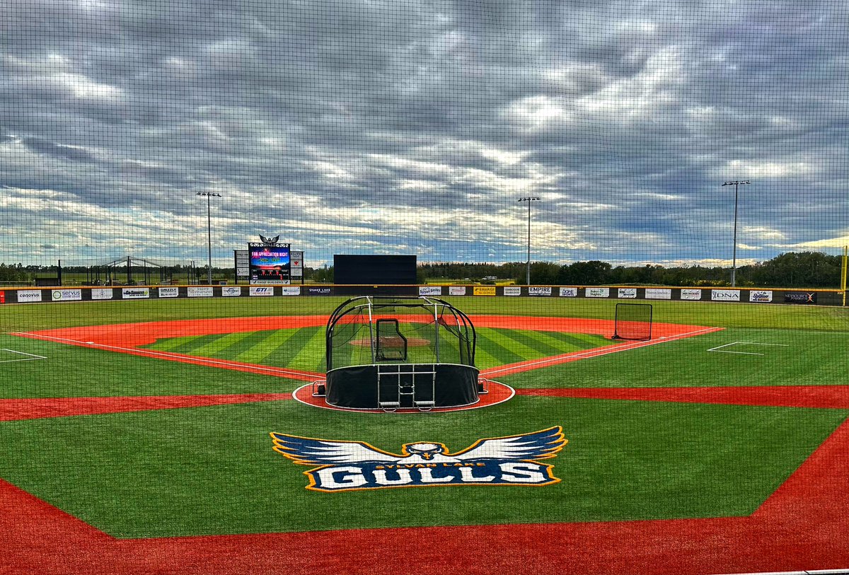 Nancy Toso tweet media