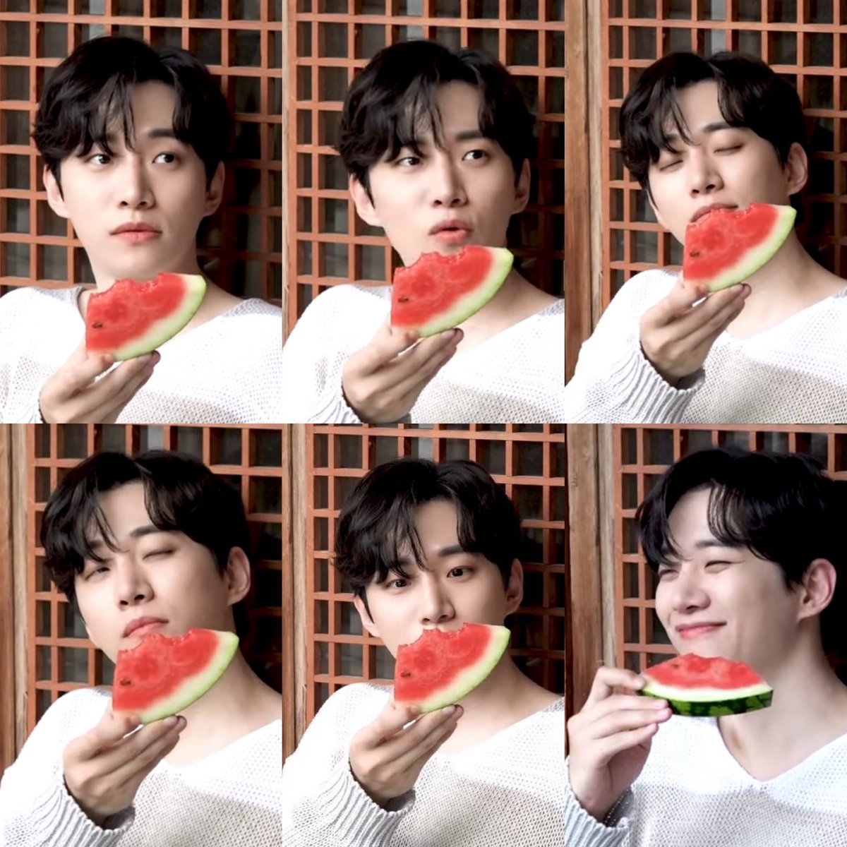 230727 #スイカの日 🍉🐧 🍉