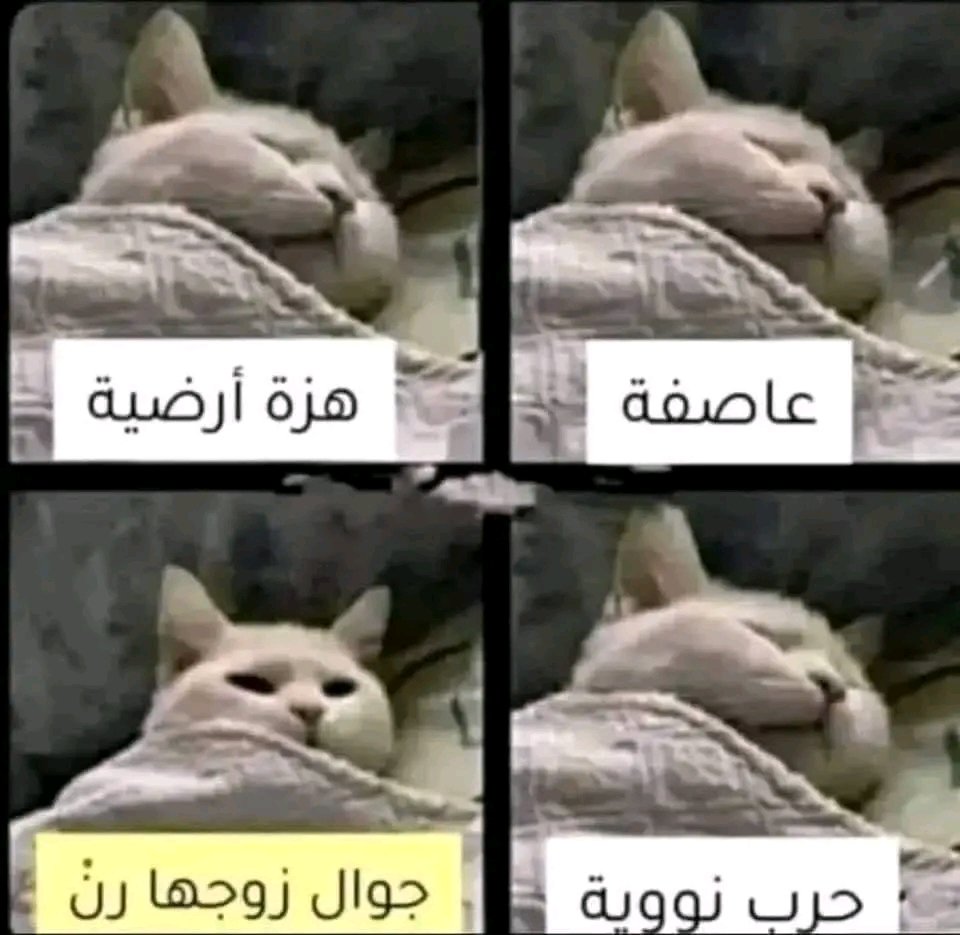 حال الحريم 😁