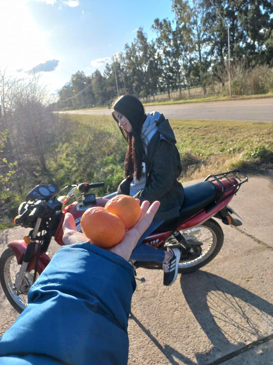 AlexLieby tweet picture