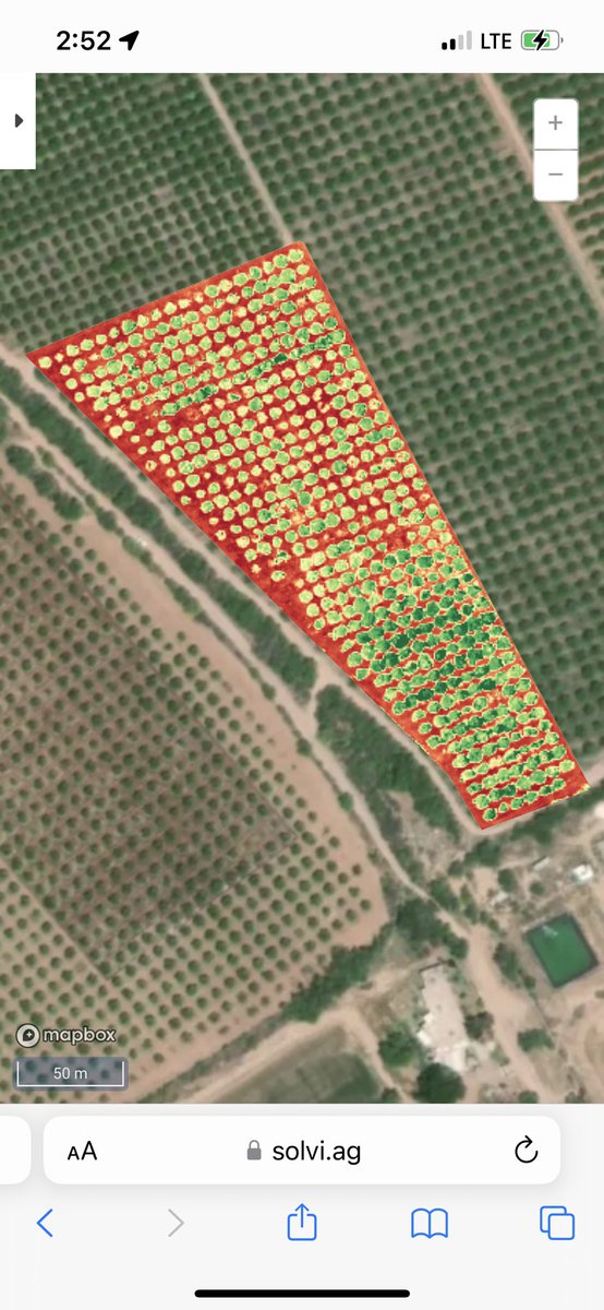 Agro_Watts's tweet photo. Crop analysis over this orange tree orchard. #digitalagriculture #agrobyte #precisionag https://t.co/mozOd4Ihl7