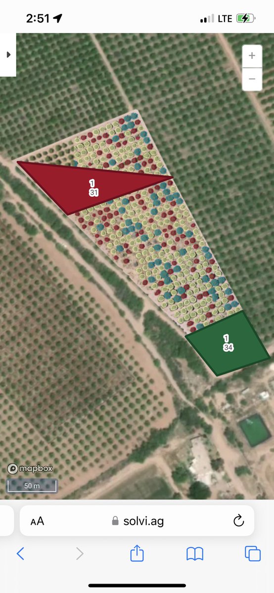 Agro_Watts's tweet photo. Crop analysis over this orange tree orchard. #digitalagriculture #agrobyte #precisionag https://t.co/mozOd4Ihl7