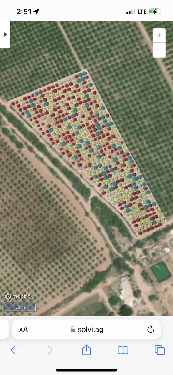 Agro_Watts's tweet photo. Crop analysis over this orange tree orchard. #digitalagriculture #agrobyte #precisionag https://t.co/mozOd4Ihl7