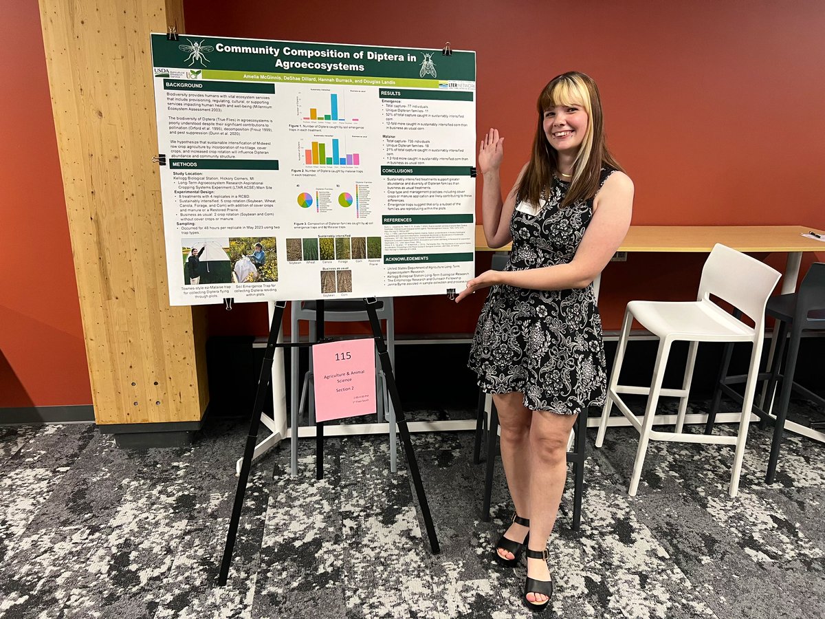 Massive shoutout to these undergrad superstars who presented at mid-SURE today! So impressed by @IsaacsLab students <a href="/taytayhori/">Taylor Hori</a>, Winter, and Mia and EROF fellow Amelia for all their hard work this summer, collecting data (so much data) AND analyzing it AND presenting it! 🫐🐝🪰❤️