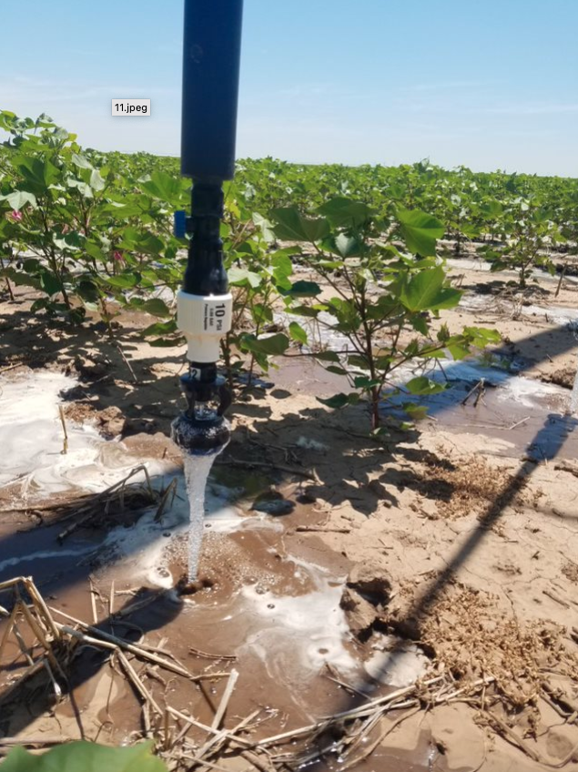 KJagadish_TTU's tweet photo. 📢 Post doc position in @KJagadish_TTU lab @TexasTech. Passionate about integrating  ground-based sensors with satellite imagery to develop climate resilient production systems - this job is for YOU. Kindly retweet 🙏🙏 Details 👇@TTUDAVIScollege https://t.co/PnNTGuYTvp https://t.co/UVO6xwjRQB