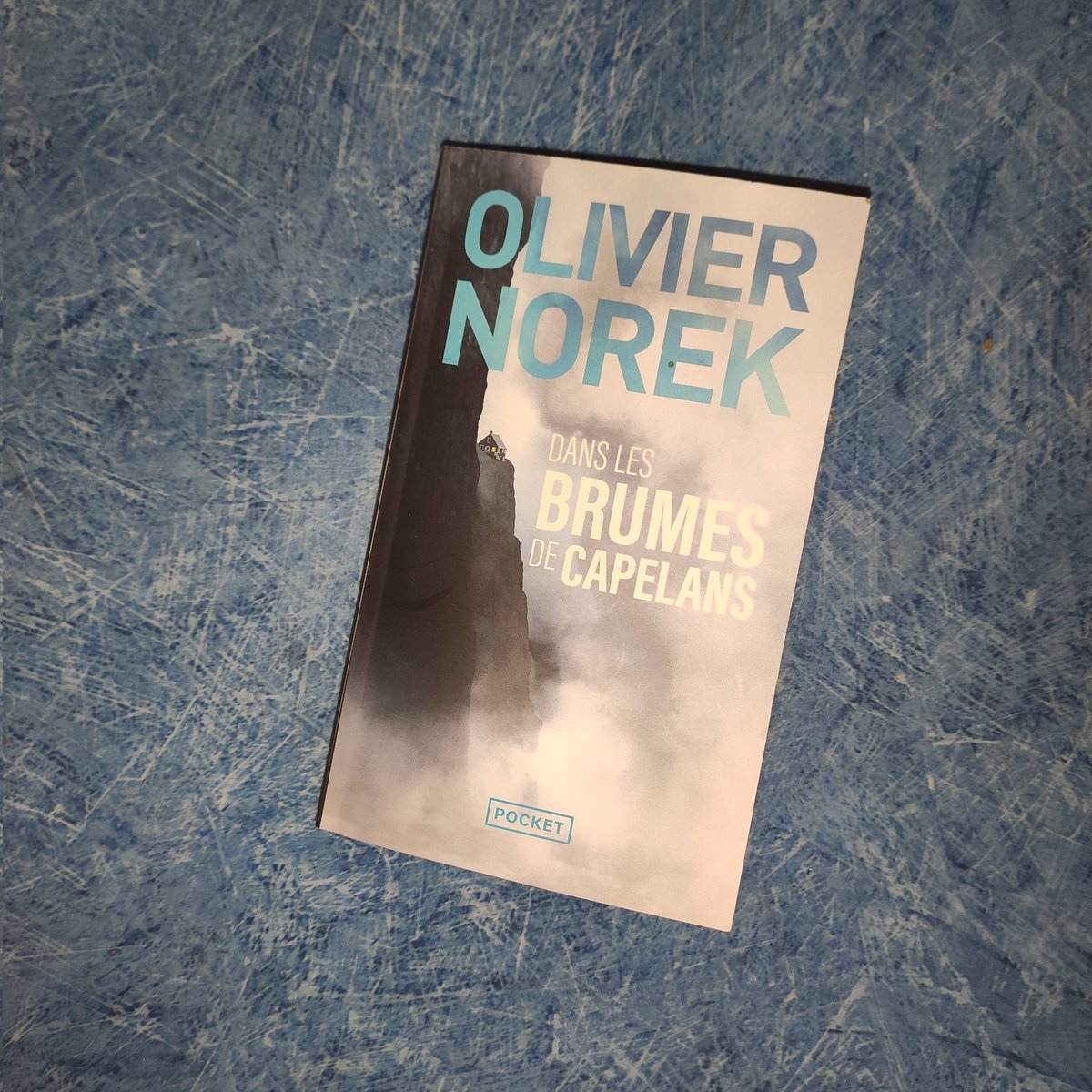 AudreyTuco's tweet photo. En bonne compagnie avec @OlivierNorek #danslesbrumesducapelans à l' #I3P
Merci encore pour ce beau moment de lecture 😊 https://t.co/jiTIbz4zW8
