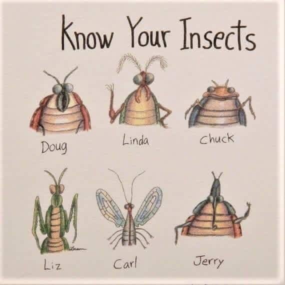 Just because it’s funny… 😂