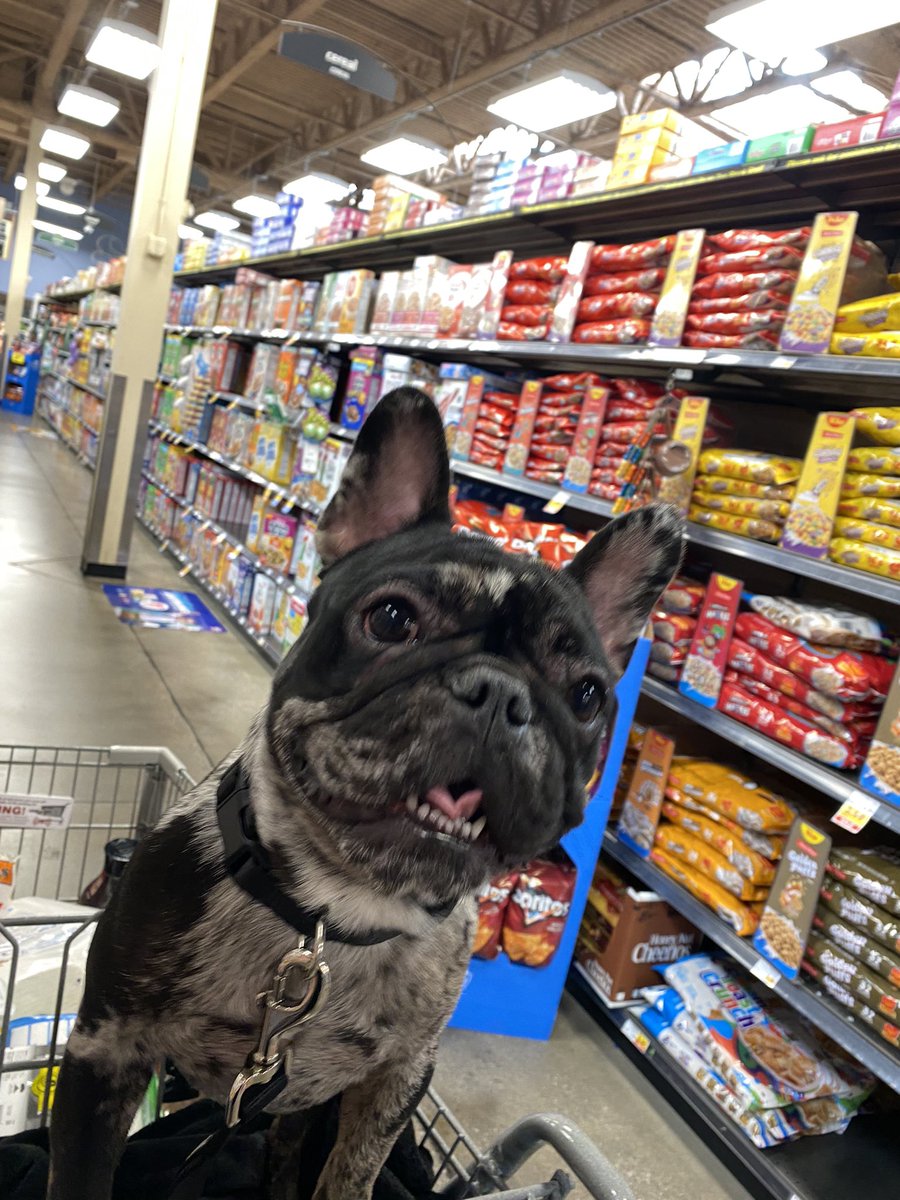 Is cereal an acceptable breakfast? <a href="/THEGOONEEZ/">new handle -foliow @drethenoid</a> <a href="/Shibaxx1/">Polkanaut King⭕️🐂</a>