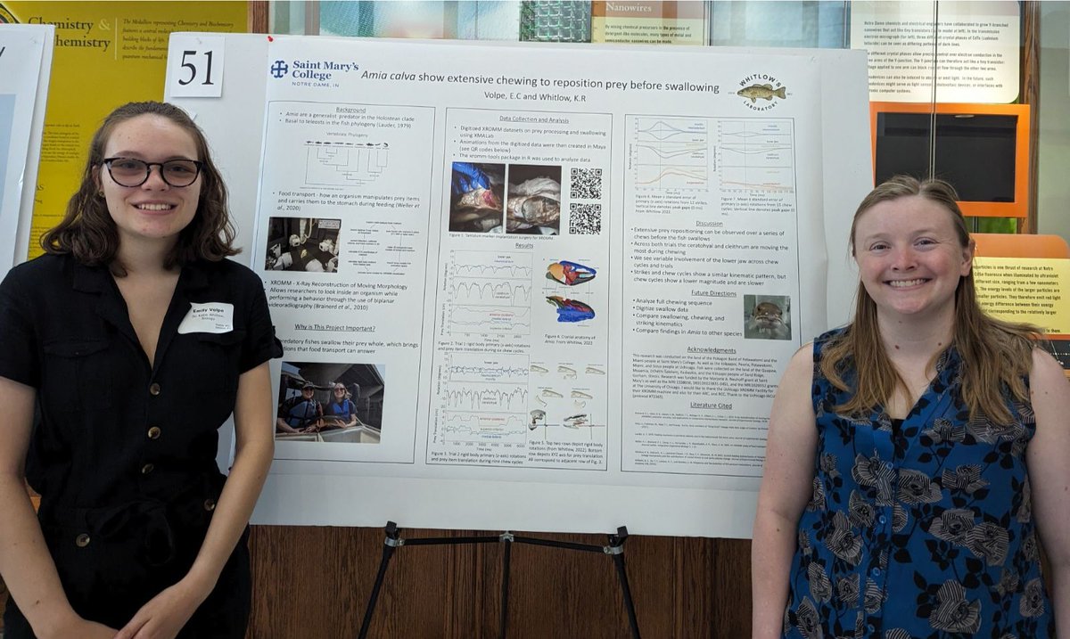 Emily Volpe tweet media