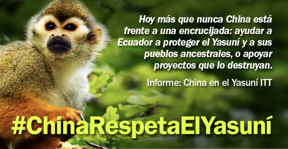 Ningún compromiso internacional o política de reducción de emisiones de carbono es coherente sin medidas estrictas para detener la producción de combustibles fósiles y actividades extractivas en zonas de alta riqueza biológica y social. #ChinaRespetaElYasuní <a href="/EmbajadaChinaEc/">Embajada de la República Popular China en Ecuador</a>