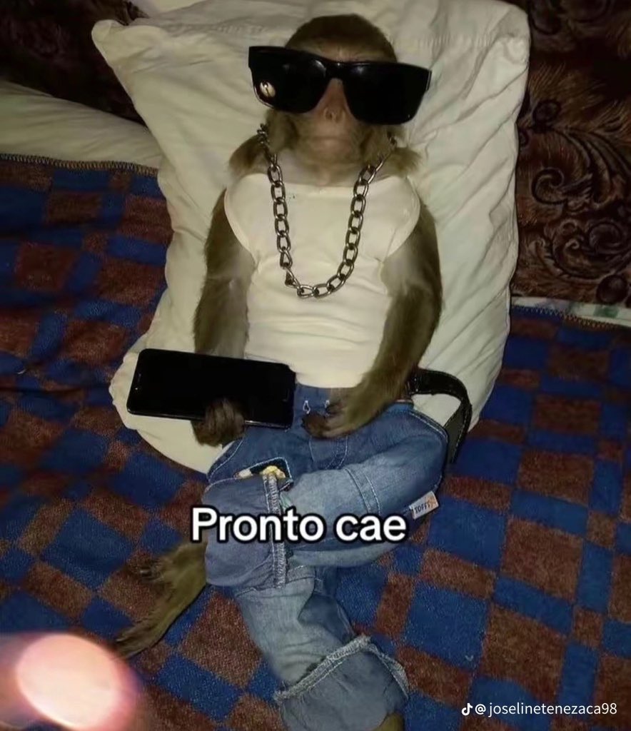 Yo después de haberle dado like a la historia