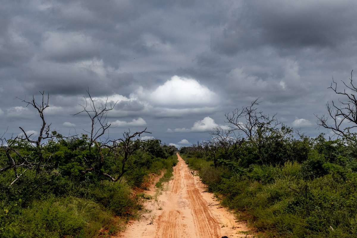 UnterAndres's tweet photo. "A la tierra, a la tierra que blandamente moldea el camino de los que van andando por el desierto sin rumbo fijo". Resiliencia es el arte de andar por el desierto sin perder la esperanza.  #resiliencia #desierto #vida #ÑembyGuasu https://t.co/tVmGwMWaP2