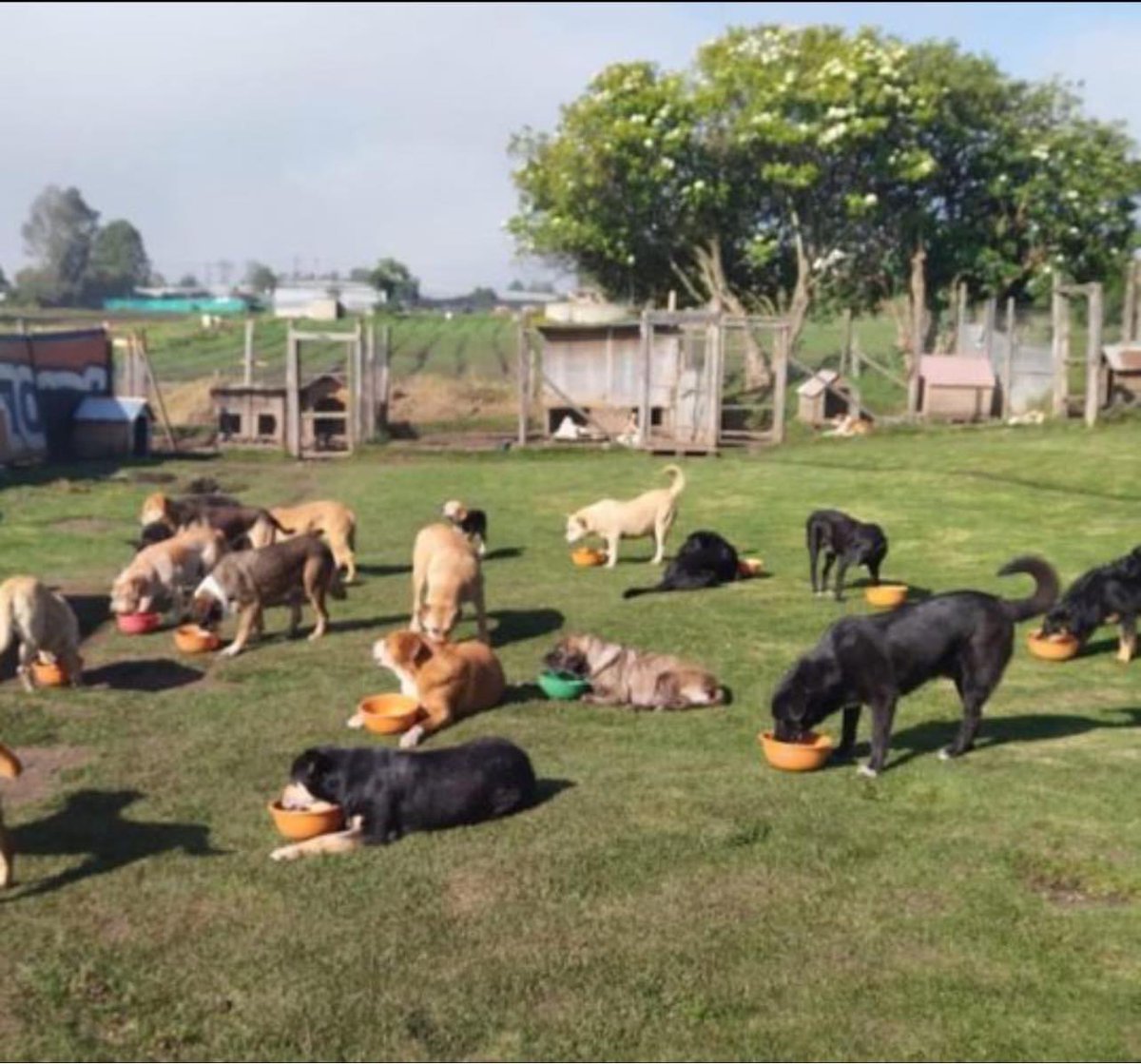 Cuando sea millonario no dire nada.. solo habrán señales 😍😍