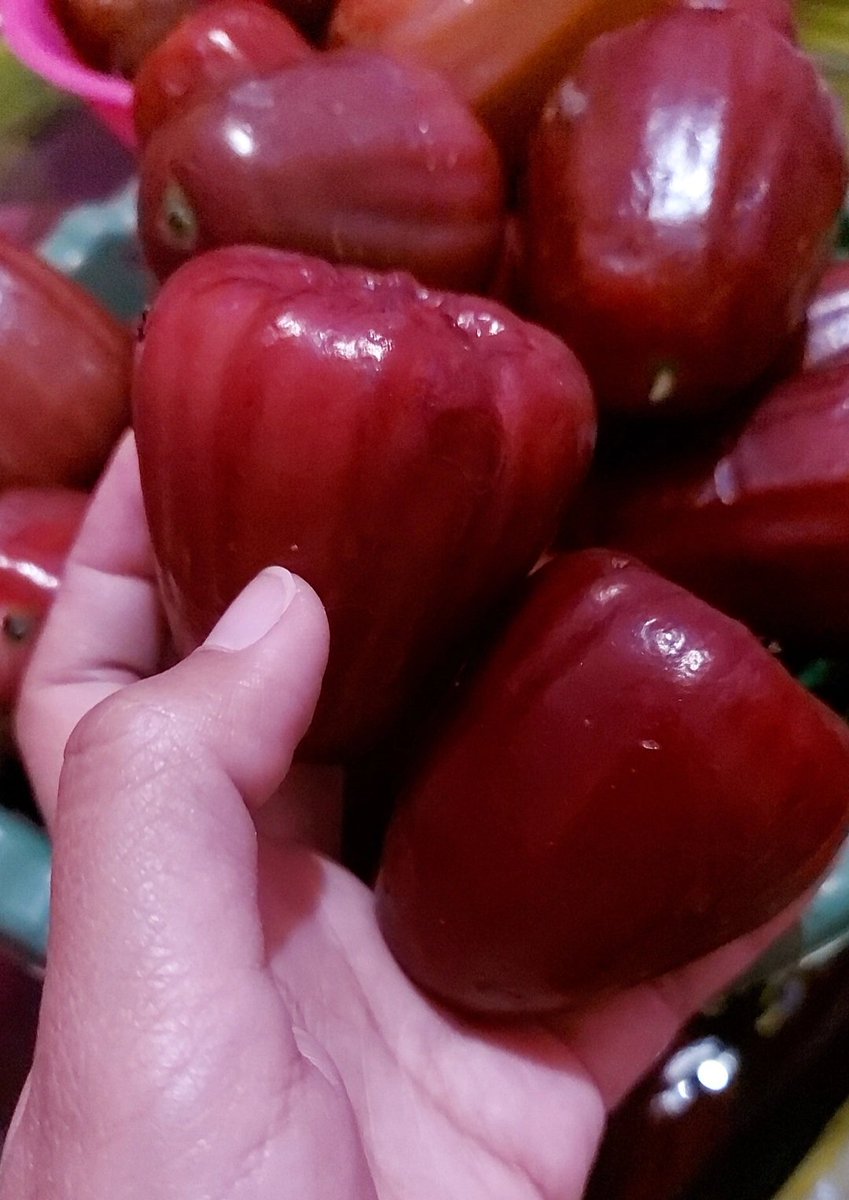 kaika77's tweet photo. Warna tidak mengkhianati rasa, bener2 manis dan seger 🤩 https://t.co/i9l2KCLvqJ