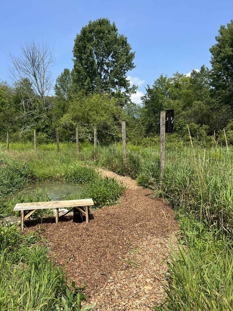 transstreamings's tweet photo. This is gunna be a lovely spot within the garden walls https://t.co/NS44K4J4Z6