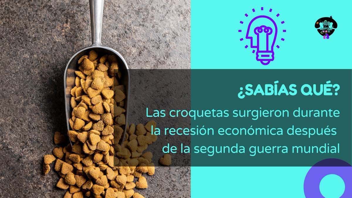 HubAnimalMx's tweet photo. No fueron diseñadas para cubrir las necesidades de cada especie, sino como una forma económica de llenar barrigas.
#CuidadoAnimal #AlimentaciónNatural #Mascotas https://t.co/Lg0O0TE0Tt