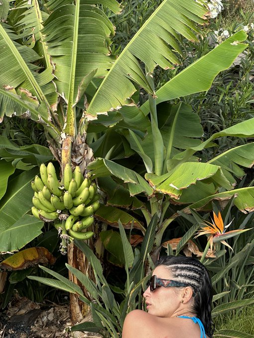 Altos 🍌 https://t.co/fbUsGo3W05