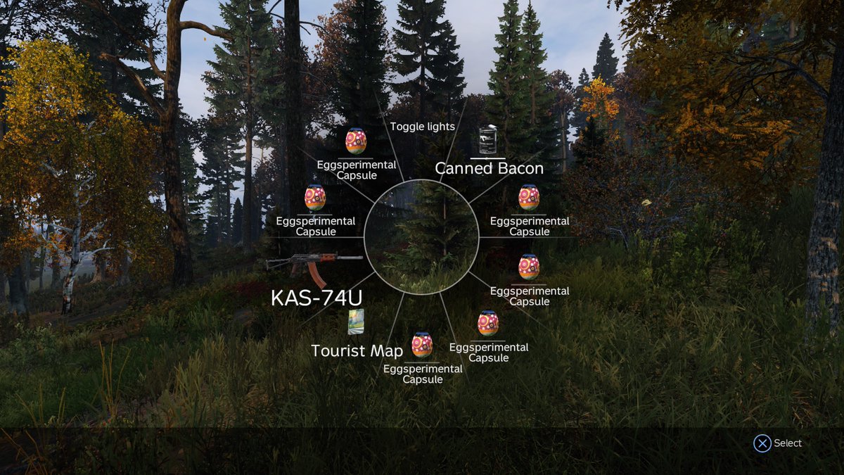 DayzTeam1's tweet photo. #PS4share https://t.co/dhLhE6WJYW