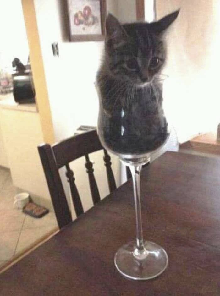 sootcake tweet picture