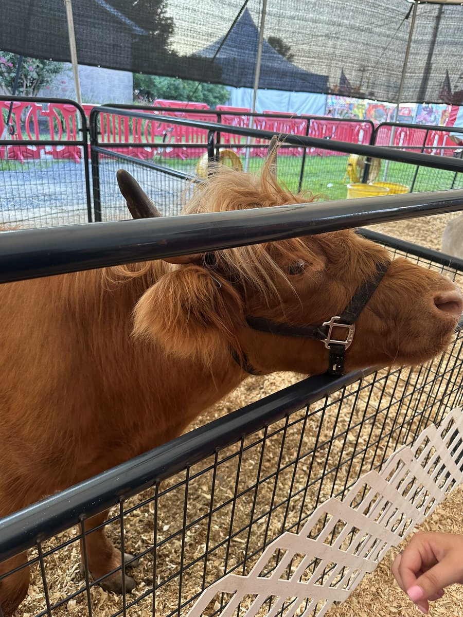 KTulowitzky1128's tweet photo. Another night at the Delaware State Fair! It was a beautiful night to walk around. Have any of you guys been to the state fair? #SPM230 

#fair #delware https://t.co/B2YoY8xijC