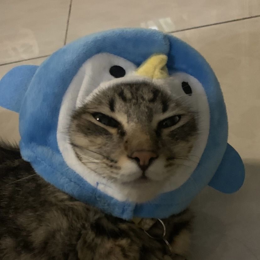 sootcake tweet picture