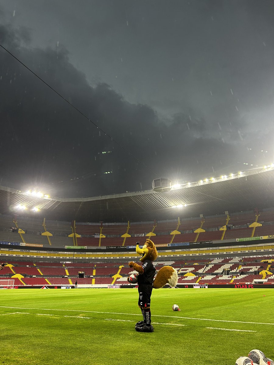 AtlasFCFemenil's tweet photo. Les dejo una postal de Lico con clima lluvioso 🌧️🥰 https://t.co/3rR45f7w8r